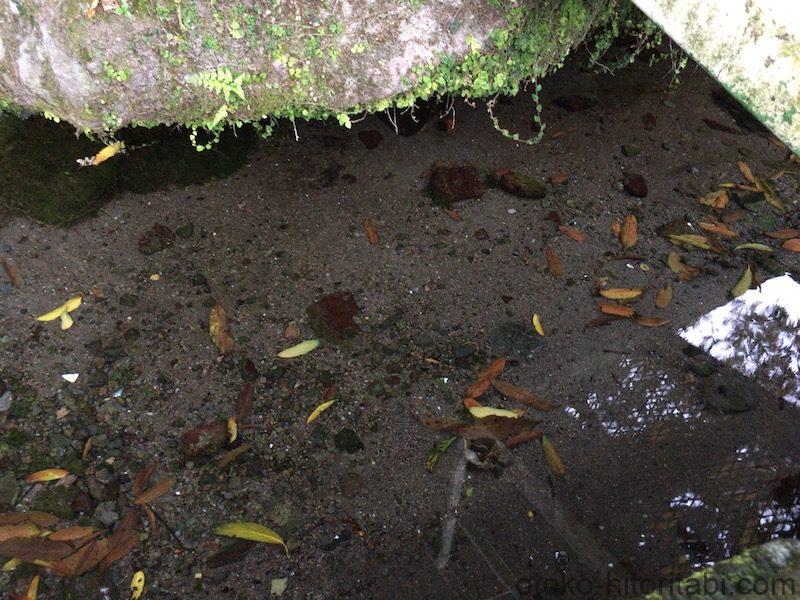 小浜温泉 上の川湧水